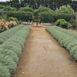 A pathway in a garden leads to a fountain.