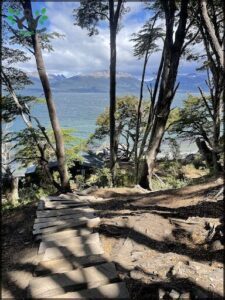 A pathway leads to a beautiful view of the ocean.