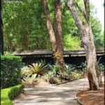 A pathway leads to a building surrounded by trees and plants.
