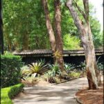 A pathway leads to a building surrounded by trees and plants.