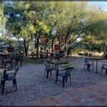 A patio area with several chairs and tables, surrounded by trees and a lake.