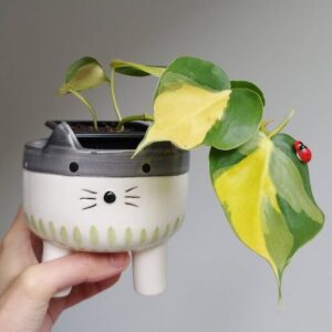 A person is holding a cat-shaped planter with a plant in it.