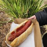 A person is holding a hot dog in a box, with a bun and ketchup.
