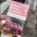 A person is holding a pink and red brochure for the Auburn Botanic Gardens.
