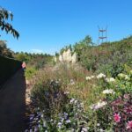 A person is walking down a path in a garden filled with flowers and greenery.