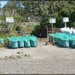 A pile of bags filled with dirt are sitting on a gravel driveway.