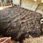 A pile of dirt is being dug up by a man and a woman.