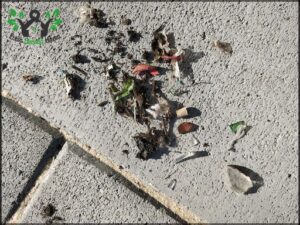 A pile of trash on a sidewalk.