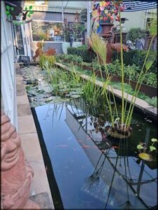 A pond with a statue of a man and a potted plant with a statue of a man in it.