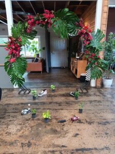 A potted plant sits on a wooden floor, surrounded by other potted plants.