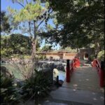 A red bridge over a stream of water, with a tree in the foreground.