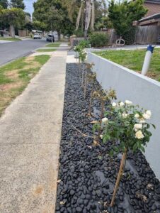 A row of flowers is planted on a sidewalk.