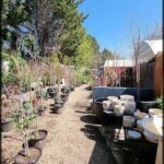 A row of potted plants are lined up on a dirt path, creating a beautiful garden scene.