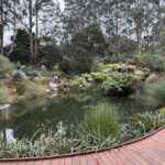 A serene garden with a pond, surrounded by trees and plants.