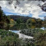 A serene scene of a lake with a forest in the background.