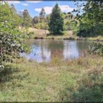 A serene scene of a lake with a tree in the foreground.