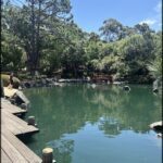 A serene scene of a pond with a bridge over it, surrounded by trees and rocks.