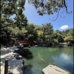 A serene scene of a pond with a red bridge over it, surrounded by trees and rocks.