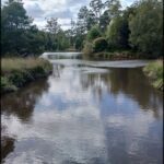 A serene scene of a river with a few trees and a blue sky above.