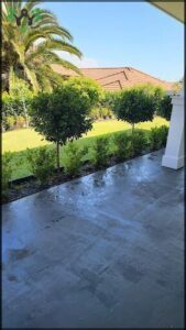 A sidewalk with a puddle of water and a row of green bushes.