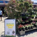A sign advertising a summer sale is displayed in front of a garden center.
