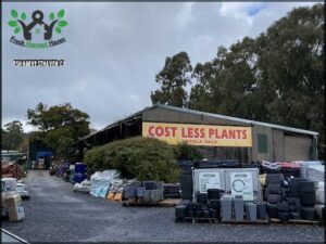 A sign advertising cost less plants is displayed in front of a building.
