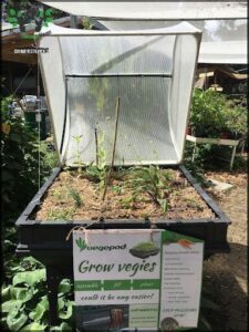 A sign advertising grow veggies is displayed in front of a plant.