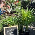 A sign advertising plants for sale is displayed in front of a variety of potted plants.