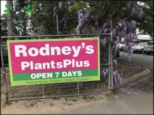 A sign advertising Rodney's Plants Plus is displayed in front of a fence.