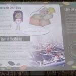 A sign explaining the Senses Track is displayed on a grassy area.