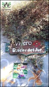 A sign for a flower shop is covered in vines.