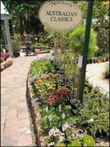A sign for a nursery with a variety of plants for sale.