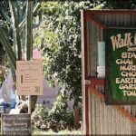 A sign for a walk-in nurse chai cafe is displayed in front of a tent.