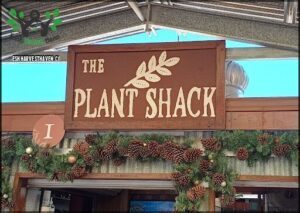A sign for the Plant Shack hangs on a building.