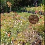A sign in a garden reads "Ama Lo Que Haces" which means "I Love What You Do."