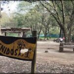 A sign in a park with the word "Pendenidos" written on it.