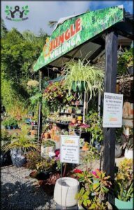 A sign in front of a store that sells plants and flowers.