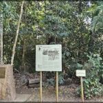 A sign in the woods with a picture of people on it.