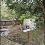 A sign is posted in front of a tree, providing information about the tree and its surroundings.