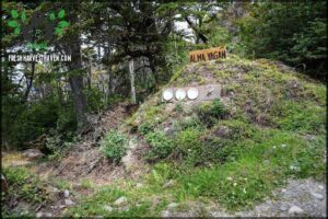 A sign on a hillside with the word "Vegan" on it.