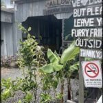 A sign outside a building reads "No Smoking" and "No Furry Friends."