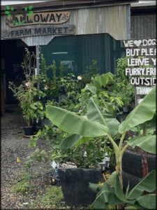 A sign outside of a store that sells plants.