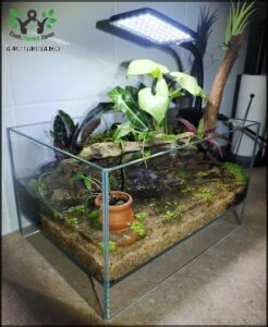A small aquarium with a variety of plants and a small tree.