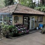 A small building with a sign that says "Nature's Treasures" is surrounded by flowers and plants.