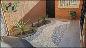 A small garden with a few plants and rocks.