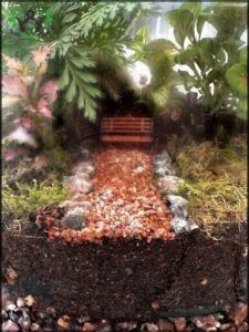 A small garden with a pathway made of rocks and a bench.