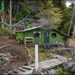 A small green house is located in a wooded area.