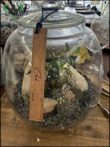 A small plant is growing in a glass jar, with a wooden tag attached to it.
