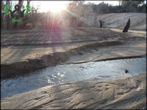 A small stream of water is flowing through a dirt path.