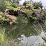 A small waterfall in a garden setting.